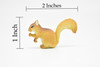 Squirrel, Museum Quality Plastic Replica, Figurine, Educational, Animal, Kids, Gift, Museum Quality Hand Painted        2 "     CWG179 BB41