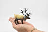 Caribou, Reindeer, Museum Quality, Realistic, Plastic, Animal Design, Educational, Hand Painted, Figure, Lifelike, Model, Figurine, Replica, Gift,       3 1/2"     CWG188 BB43