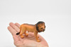 Lion, African, Museum Quality, Realistic, Plastic, Animal Design, Educational, Hand Painted, Figure, Lifelike, Model, Figurine, Replica, Gift,        4 1/2"     CWG191 BB44   