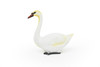 Swan, Museum Quality, Realistic, Plastic, Bird Design, Educational, Hand Painted, Figure, Lifelike, Model, Figurine, Replica, Gift,      2 1/2"     CWG192 BB45