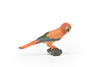 Parrot, Museum Quality, Realistic, Plastic, Bird Design, Educational, Hand Painted, Figure, Lifelike, Model, Figurine, Replica, Gift,           3"     CWG202 BB45