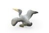 Pelican, Brown, Realistic Museum Quality Toy , Plastic Replica, Educational, Figure, Figurine, Bird, Lifelike, Hand Painted Model   3 1/2"    CWG203 BB45