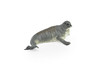 Seal, Grey Seal, Museum Quality, Realistic, Plastic, Animal Design, Educational, Hand Painted, Figure, Lifelike, Model, Replica, Gift   4"    CWG211 BB42