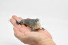 Grey Seal, Museum Quality, Realistic, Plastic, Animal Design, Educational, Hand Painted, Figure, Lifelike, Model, Replica, Gift   4 Inches 