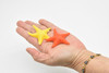 Starfish, Sea Star, Set of 2, Realistic, Asteroidea Design, Hand Painted, Realistic, Saltwater, Educational Model, Figure, Lifelike, Diorama Model, Toy, 2 Inches. 