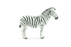 Zebra, African equines, Equidae, High Quality, Hand Painted, Rubber, Realistic, Figure, Model, Replica, Toy, Kids, Educational, Gift, 3 Inches CWG220 B17
