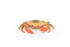 Crab, Very Nice Rubber Animal, Educational, Toy, Kids, Realistic Figure, Lifelike Hand Painted Model, Figurine, Replica, Gift   2 1/2"    CWG223 BB46