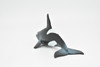 Orca, Killer Whale, Very Nice Rubber Animal, Educational, Toy, Kids, Realistic Figure, Lifelike Hand Painted Model, Figurine,   5"     CWG226 BB46
