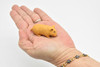 Hamster, Educational, Hand Painted, Plastic Animal Design, Figure, Lifelike, Realistic Model, Replica, Gift    2 Inches.
