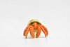 Hermit Crab, Plastic Crustaceans Design, Educational, Toy, Kids, Realistic Figure, Lifelike Model, Figurine, Replica, Gift,     2"      CWG236 B306