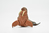 Walrus, Moveable Legs, Realistic Rubber Replica, Educational, Figure, Figurine, Animal, Life Like Toy, Hand Painted, Educational Model     4"    CWG242 BB42