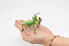 Praying Mantis, Museum Quality, Rubber Insect, Design, Educational, Hand Painted, Figure, Lifelike Toy, Model, Figurine, Replica, Gift,   4"      CWG243 B239