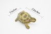 Tortoise, Turtle, Museum Quality, Rubber Reptile, Educational, Realistic Hand Painted Figure, Lifelike Figurine, Replica, Gift,        3"        CWG252 B240