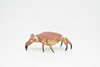 Crab, Dungeness Crab, Museum Quality, Rubber, Crustaceans, Educational, Realistic, Hand Painted, Figure, Lifelike Figurine, Replica, Gift,     3"      CWG253B 240