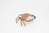 Crab, Dungeness Crab, Museum Quality, Rubber, Crustaceans, Educational, Realistic, Hand Painted, Figure, Lifelike Figurine, Replica, Gift,     3"      CWG253B 240