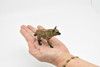 Hyena, Hyaenas, Spotted, Museum Quality Rubber Animal, Educational, Realistic Hand Painted Figure, Lifelike Figurine, Replica, Gift,        3 1/2"       CWG254 B240