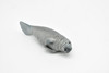 Manatee, Sea Cow, Dugong, Realistic Rubber Replica, Hand Painted Toy   5"