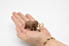 Woolly Mammoth, Very Nice Plastic Reproduction     2 1/2"    F4456 B222