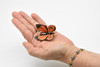 Butterfly, Monarch, Very Nice Rubber Reproduction  2"    F4491 B46