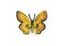 Butterfly, Yellow, Very Nice Rubber Reproduction    2"     F4470 B46