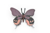 Butterfly, Purple, Very Nice Rubber Reproduction    2"     F4467 B46