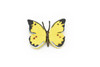 Butterfly, Yellow & Black Very Nice Rubber Reproduction     2"    F4493 B46