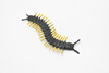 Centipede, Black, Very Nice Plastic Reproduction    3"    CWG296 B1