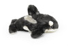 Orca, Killer Whale, Very Nice Plush, Stuffed Animal, Marine Mammal, Educational, Realistic Figure, Lifelike Model, Replica, Toy, Kids, 11 Inches. 
