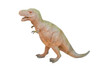 Tyrannosaurus, T- Rex Dinosaur, Figure, Model, Figurine, Educational, Animal, Kids, Gift Toy Plastic Replica,      14"        CWG162 BB38   