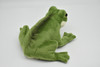 Frog, Stuffed Animal, Educational, Plush Realistic Figure, Lifelike Model, Replica, Gift       8"      F4002 BB53 