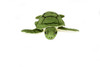 Sea Turtle Plush Toy, Realistic Stuffed Animal, Stuffed Turtle, Educational, Toy, Kids, Realistic Figure, Lifelike Soft Plush Turtle,       12"      F2427 BB52