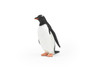 Penguin, Gentoo, Museum Quality Plastic Reproduction, Hand Painted   2"    M119 B647
