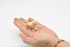 Barn Owl, Very Nice Plastic Figure, Hand Painted, Educational, Diorama, Realistic Figure, Lifelike, Replica, Toy, Kids,  2 Inches. 