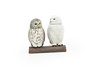 Snowy Owl, Very Nice Rubber Birds, Hand Painted, Educational, Diorama, Realistic Figure, Lifelike, Replica, Toy, Kids,  2 Inches. 