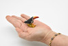 Toucan, Very Nice Rubber Bird, Hand Painted, Educational,  Realistic, Diorama, Very Nice Design, Figure, Toys, Kids,  2 Inches