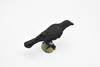 Raven, Crow Toy, Realistic Plastic Scale Model     3"      F1993 B624