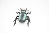 Stag Beetle, Lucanidae, Very Nice Rubber Insect, Educational, Toy, Kids, Realistic Figure, Lifelike Model, Figurine, Replica, Gift,       6"        F2088 B493