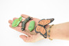 Monarch Butterfly Life Cycle, 4 Stages, Educational, Museum Quality, Hand Painted, Rubber Insect, Figure, Diorama Model, Realistic, Kids, Toys,  3  Inches.