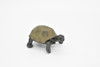 Tortoise, Learn the Tortoise Life Cycle, Very Nice Plastic Figure, Model, Realistic Replica, Educational, Figurine, Animal, Life Like, 4 Stages,   2 1/2"  CH05 B231