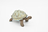 Tortoise, Learn the Tortoise Life Cycle, Very Nice Plastic Figure, Model, Realistic Replica, Educational, Figurine, Animal, Life Like, 4 Stages,   2 1/2"  CH05 B231