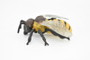 Bee, Bumblebee, Hornet, Yellowjacket, Museum Quality, Rubber Insect, Hand Painted, Realistic Toy Figure, Diorama Model, Kids, Educational,  3 Inches.