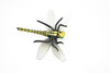 Dragonfly, Insect, Very Realistic Rubber Figure, Model, Educational, Animal, Hand Painted Figurines, Toy  4"    CH016 BB71