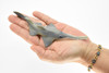 Sawfish, Carpenter shark, Museum Quality, Educational, Rubber Fish, Hand Painted, Realistic Toy Figure, Diorama Model, Kids,  6 Inches.