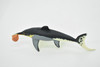 Icthyosaur, Biting Ammonite, Prehistoric Fish, Museum Quality, Rubber Fish, Hand Painted, Realistic Toy Figure, Diorama Model, Kids, Educational, 8 Inches. 