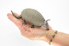 Armadillo, Cingulata, High Quality, Hand Painted, Rubber, Toy Figure, Realistic, Lifelike Model, Replica, Kids, Educational, Gift,  6"    CH041 BB76