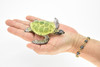 Sea Turtle Toy, Green, Museum Quality Rubber Figure, Model, Educational, Animal, Hand Painted Figurines,  4" CH055 BB78