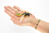 Hornet Toy, Killer, Wasp, Insect, Very Realistic Rubber Figure, Model, Educational, Animal, Hand Painted Figurines,       3.5"       CH060 BB79