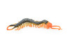 Centipede Toy, Arthropods, Very Realistic Rubber Figure, Model, Educational, Animal, Hand Painted Figurines,   7"    CH064 BB79