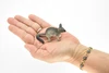 Opossum, Possum, Marsupial, Very Realistic Rubber Figure, Hand Painted, Rubber Mammal, Realistic Toy Figure, Replica, Kids, Educational, 2 1/2 Inches. 