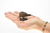 Kiwi, Kee Wee, Bird, Very Realistic Rubber Reproduction, Hand Painted Figurines,  2.5"    CH068 BB79